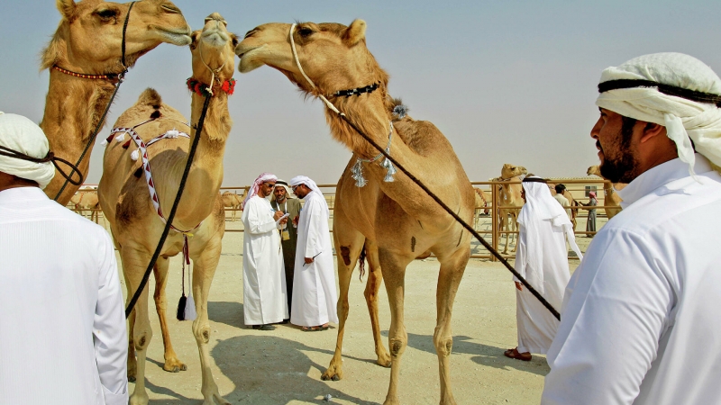 Эмират Абу-Даби ослабит требования для въезда иностранных туристов
