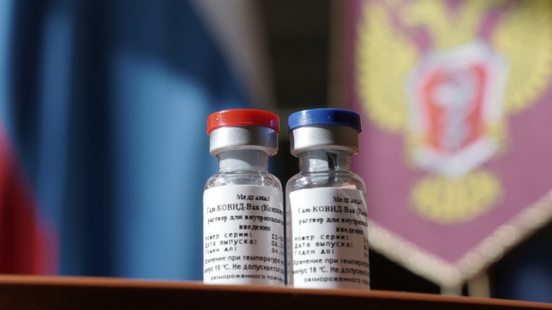 Гинцбург уверен, что Украина не отвертится от российской вакцины