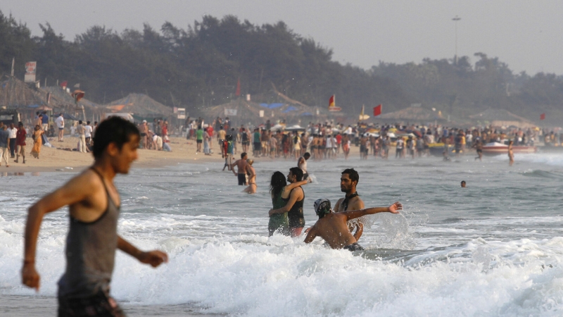 На пляжах Гоа туристы страдают от нашествия медуз