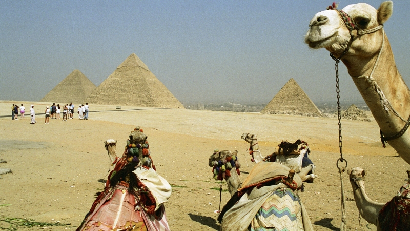 Дешевый Египет возвращается! Сколько стоят туры в страну пирамид