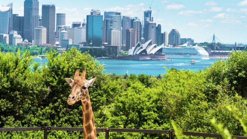 Эксперты считают, что Австралия не будет принимать туристов в 2021 году