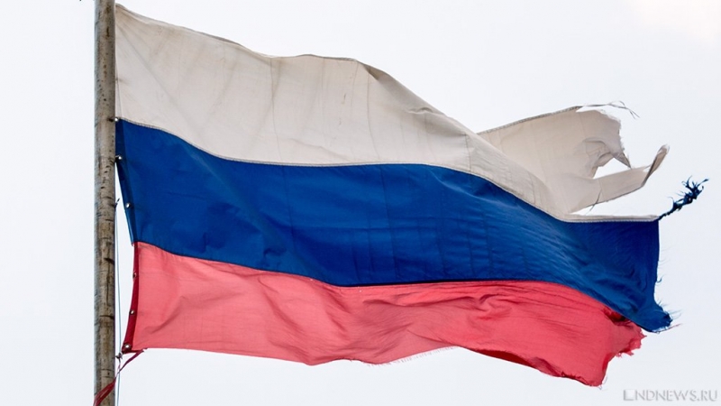 Россию превратят в «гигантский Парагвай»: эксперты раскрыли суть конституционной реформы
