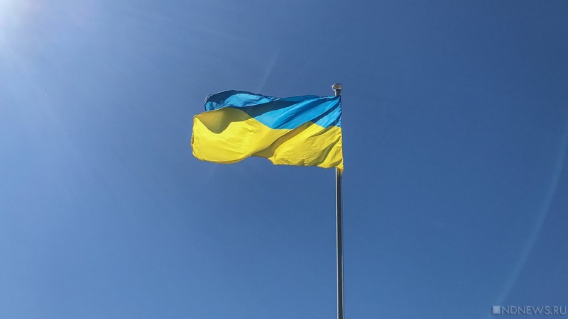На Украине объявили Зеленского диктатором и обратились в ЕС