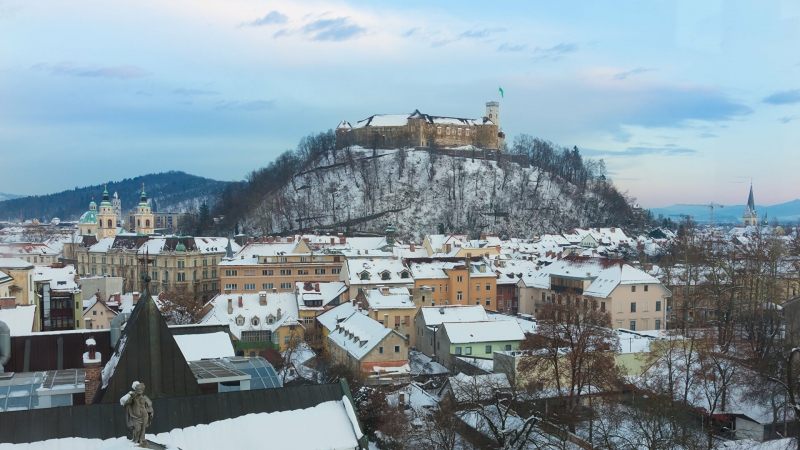 В дипмиссии Словении рассказали, пустят ли в страну туристов из России