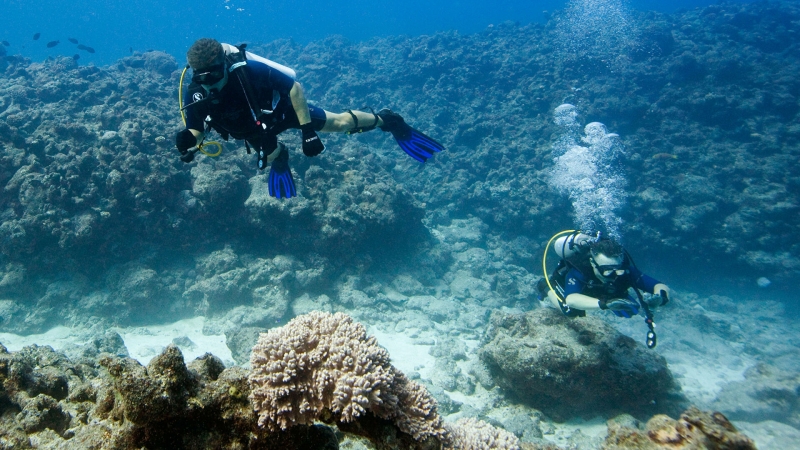 Маврикий во второй раз закрыл границы для иностранных туристов