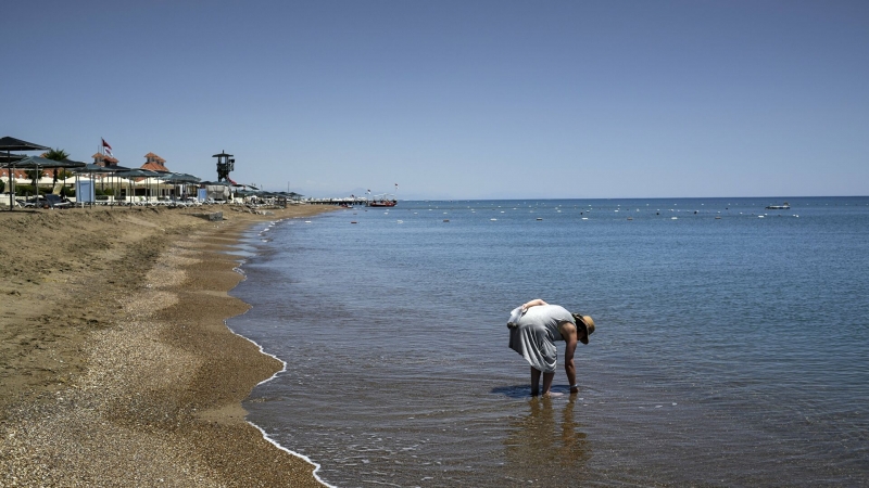 Отдыхающие на пляже в Анталье нашли на берегу акулу