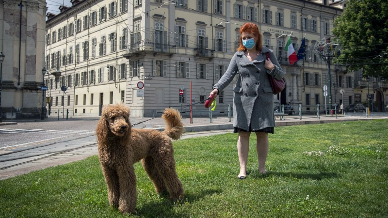 В Турине появится лес, который поможет очистить город от пыли