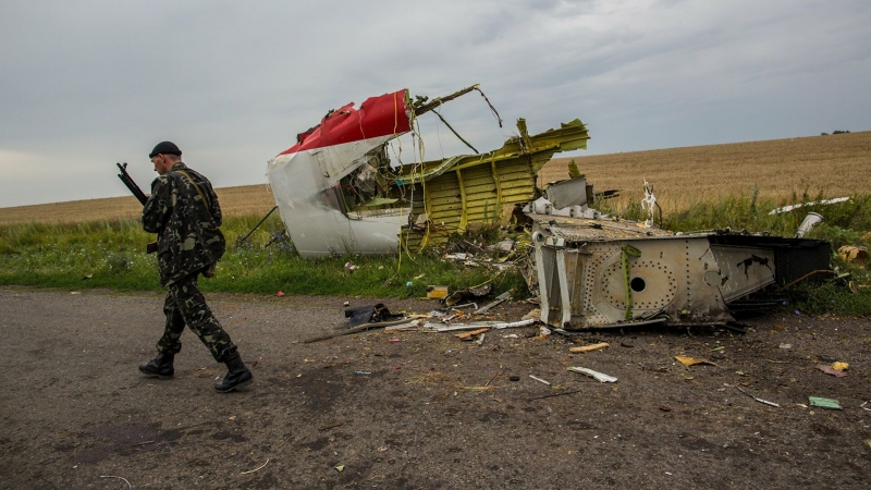 Мария Кнайф: расследование по делу MH17 не завершено, еще много работы