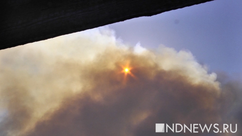 Владивосток накрыло дымом лесных пожаров