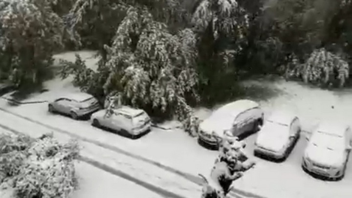 "День жестянщика открыт": снегопад привел к массовой аварии в Кузбассе