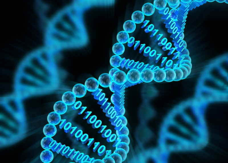 Ученые создали прототип процессора на основе молекул ДНК