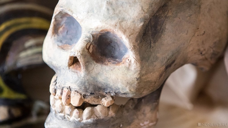 Ученые на Камчатке обнаружили более 150 древних артефактов