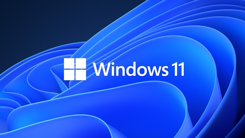 Windows 11 начала резко набирать популярность