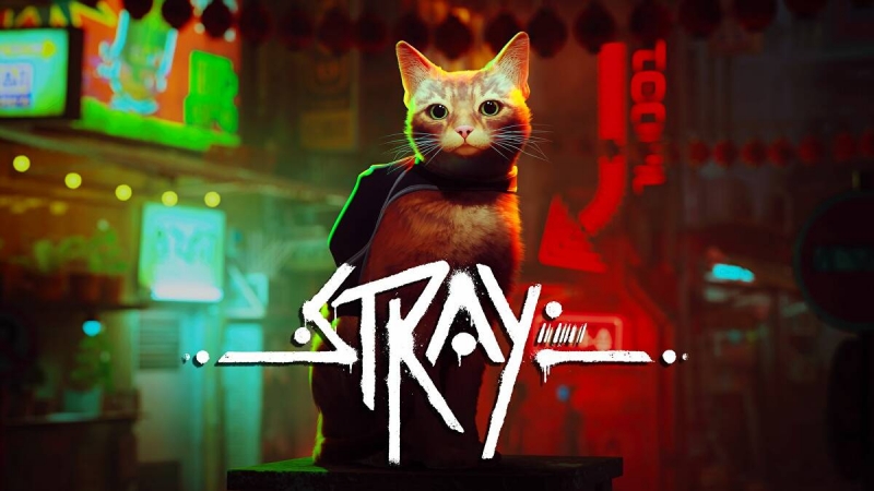 Stray стала самой популярной игрой Annapurna Interactive в Steam