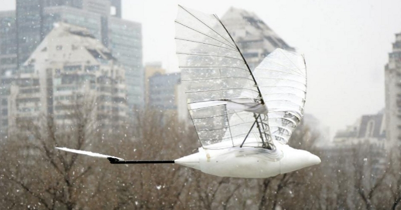 Китайский дрон-птица установил мировой рекорд по продолжительности полёта – он провёл в воздухе более 1,5 часа