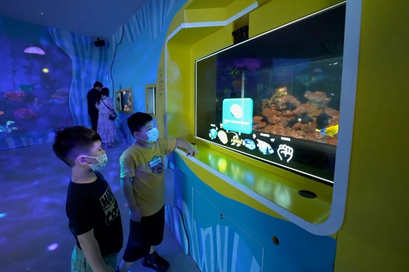 Умный аквариум с ИИ и microLED дисплеем отслеживает взгляды и рассказывает посетителям о рыбах, на которых они смотрят