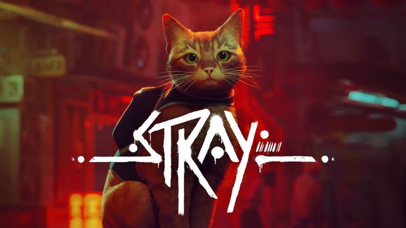 Stray станет доступна на Xbox уже 10-го августа