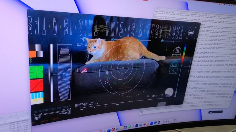 Psyche передал из глубокого космоса на Землю видео с котом – сигнал преодолел 31 млн км