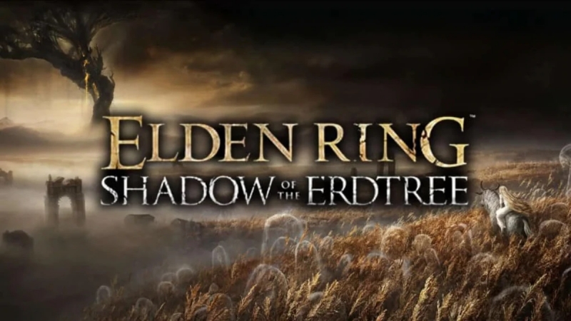 Появилось еще одно косвенное доказательство скорого выхода дополнения Shadow of the Erdtree для Elden Ring