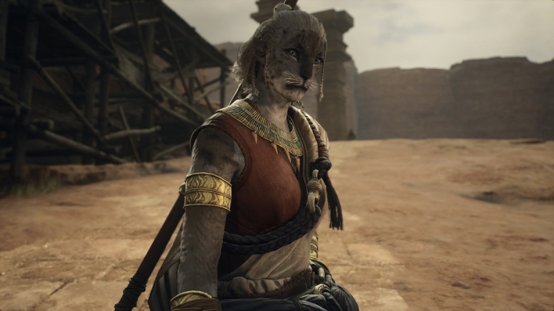В Dragon’s Dogma 2 появится раса антропоморфных кошек: разработчики рассказали о возможностях редактора персонажей