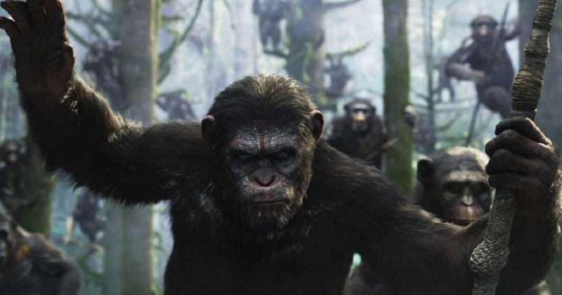 Во время трансляции Super Bowl состоялась премьера трейлера "Kingdom of the Planet of the Apes" и была названа новая дата выхода