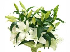Лилии в праздничных букетах: виды, ароматы и лучшие сочетания для выразительных композиций